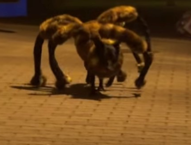 YouTube-hit: hond in spinnenpak jaagt voorbijgangers stuipen op het lijf