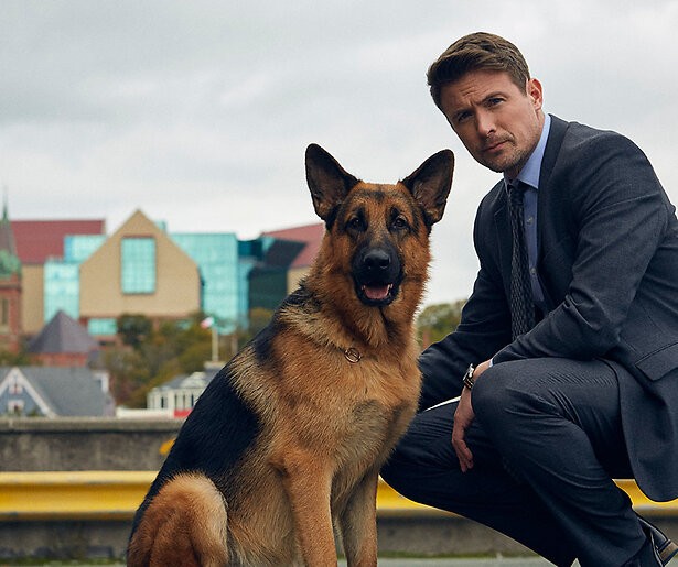 Je kunt nu genieten van de populaire politieserie Hudson & Rex bij BBC NL