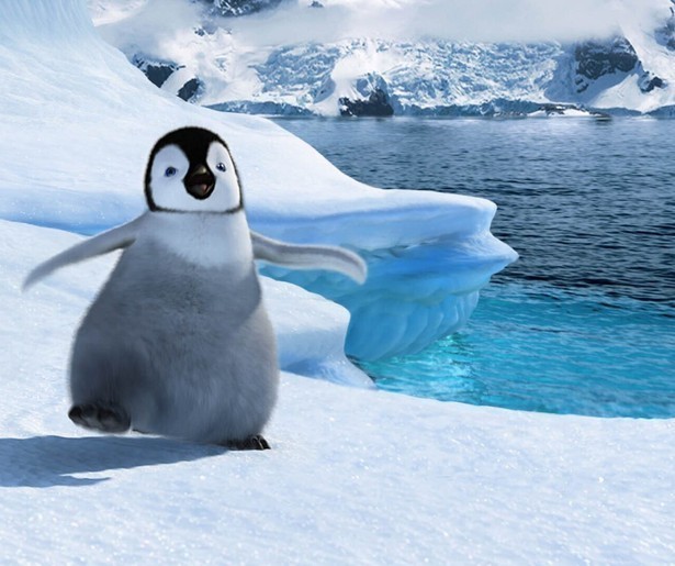 Dans en zing mee met de schattige wezens uit Happy Feet