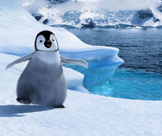 Dans lekker mee met de kleine Mumble in Happy Feet