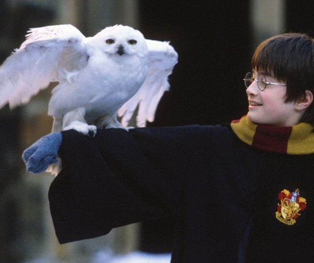 Tovenaarsleerling ontdekt zijn krachten in Harry Potter and the Philosopher's Stone