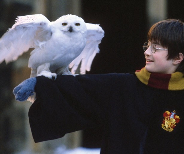 Genieten maar: Paramount Network zendt alle Harry Potter-films uit