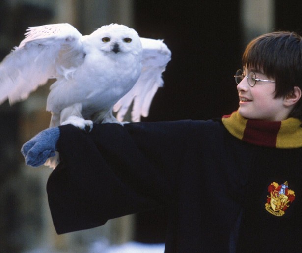 Op deze datum zendt Net5 de Harry Potter-reeks vanaf het begin uit