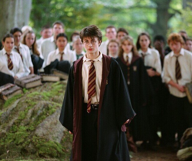 Is Harry Potter in gevaar?