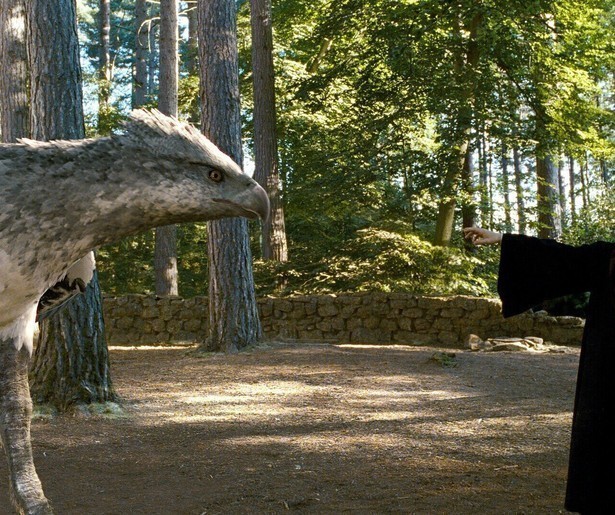 Is Harry Potter in gevaar?