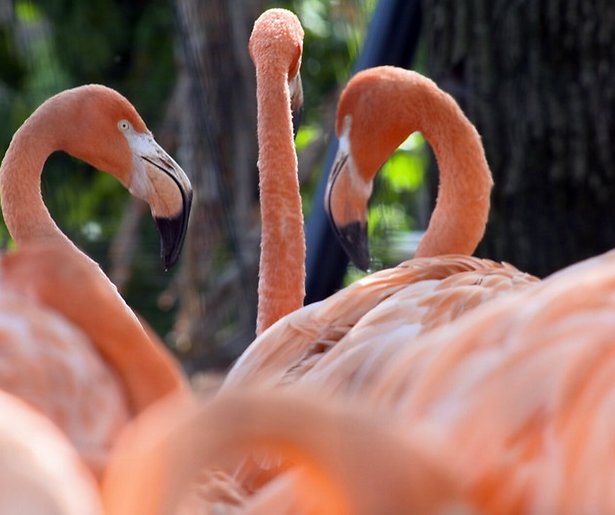 De TV van gisteren: NPO 1 domineert de hele avond