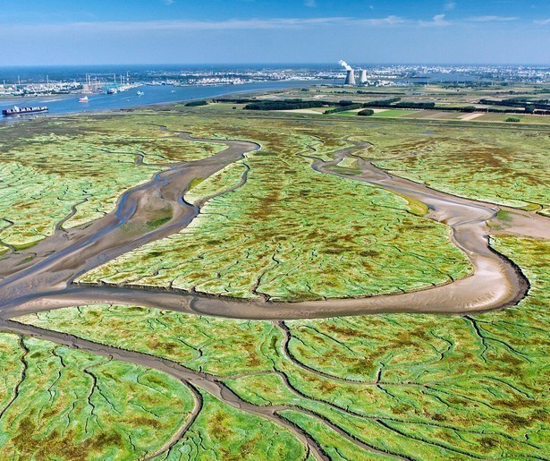 Beestachtig mooi Nederland in beeld