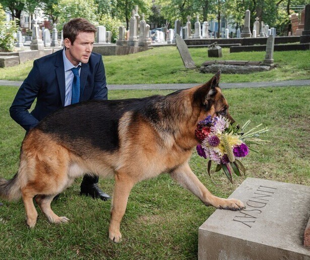 Hoe het begon tussen Hudson & Rex