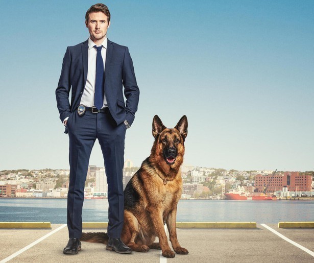 Vijfde seizoen Hudson & Rex van start bij FOX