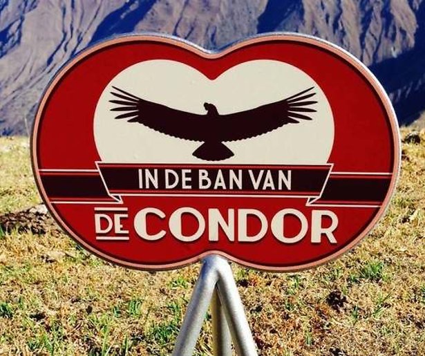 Kijkcijfers: In de Ban Van de Condor is geen hit