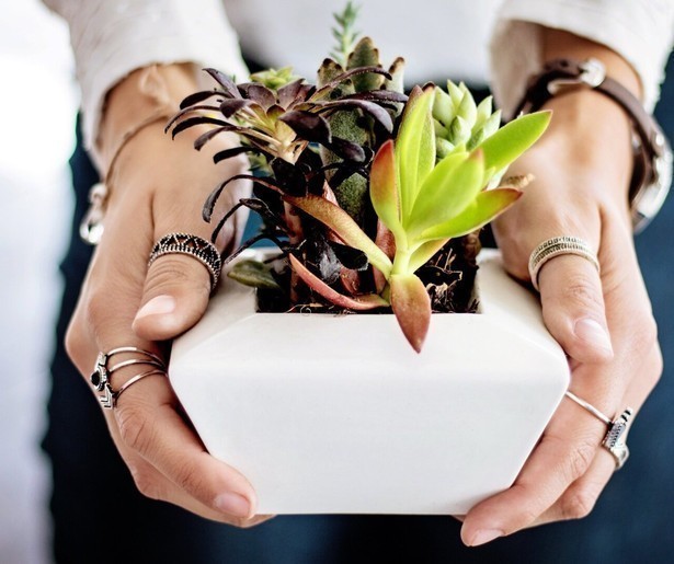 Welke interieurstylist weet het best een werkplek in te richten? 