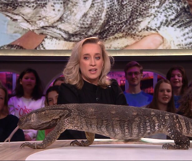 Varaan Johan zorgt voor angstige momenten bij Jinek