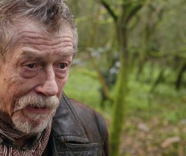 Britse acteur John Hurt (77) overleden