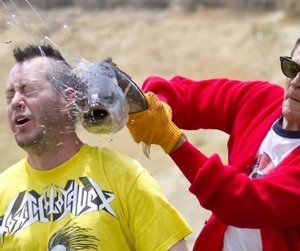 Johnny Knoxville en zijn crew stunten erop los in Jackass 3.5