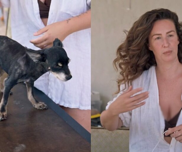 De TV van gisteren: Daar Gaan Ze Weer-kijkers gaan los over Jacobien en haar hondje