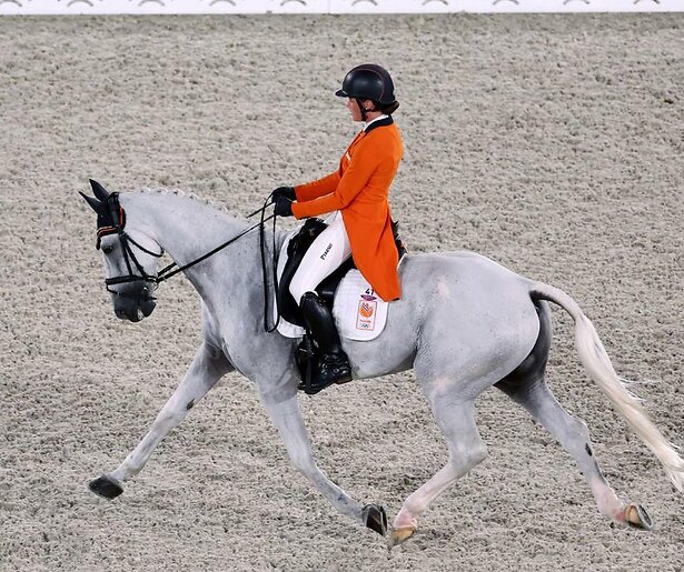 De 'triatlon van de paardensport’ wordt beslist bij het paleis van Versailles