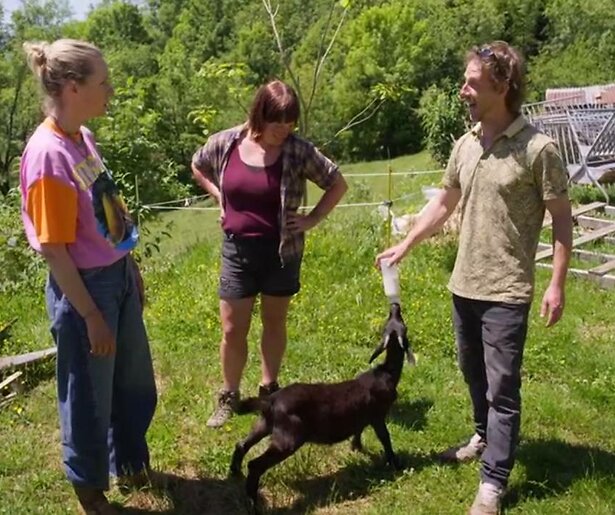 Judith en Debbie zijn samen met hun mannen duidelijk de grote favorieten van kijkers B&B Vol Liefde: Hoe is het nu met?