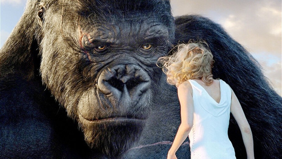 Kingkong Kingkong
