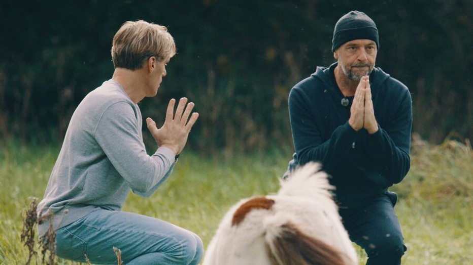 Tom Waes voor Kalm Waes