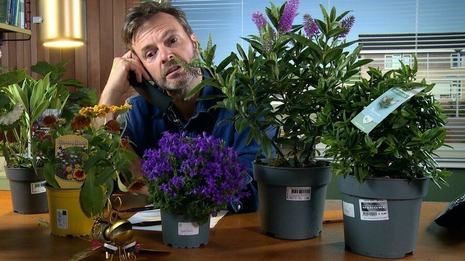 Teun van de Keuken Teun van de Keuken