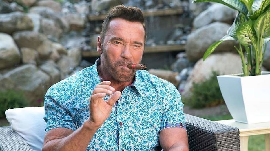 Arnold Schwarzenegger is de beste huurmoordenaar ter wereld
