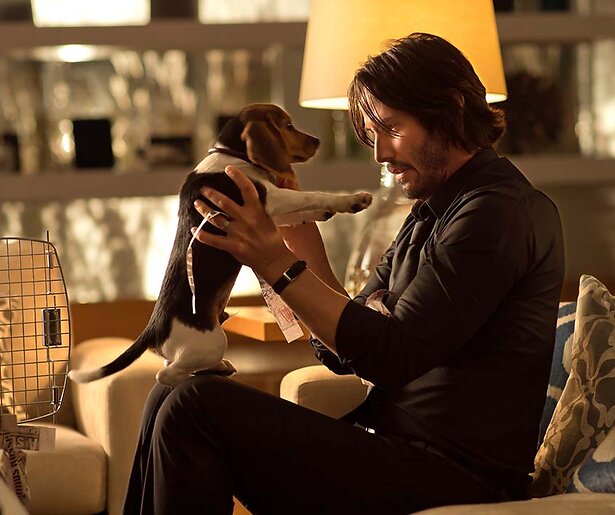 Keanu Reeves neemt wraak in de keiharde actiefilm John Wick