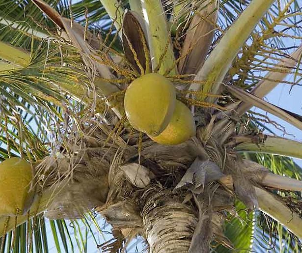 Talpa maakt nieuwe survivalshow