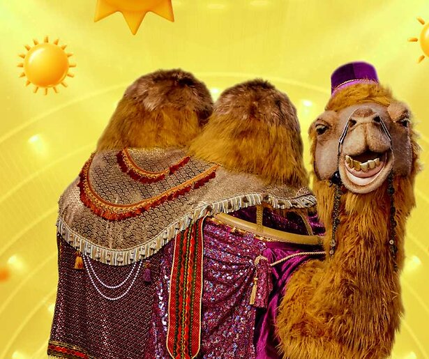 Wie gaat of gaan er schuil in het pak van De Kameel in The Masked Singer 2024?