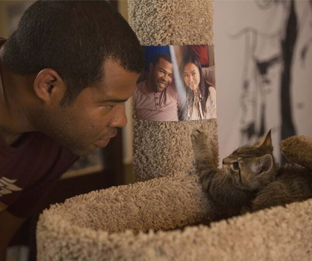 Jordan Peele gaat tot het uiterste om zijn geliefde kitten terug te vinden in Keanu