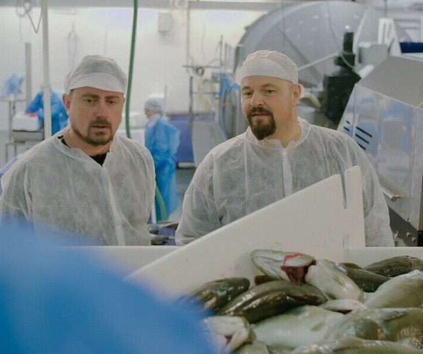 Kweekvis in een kooi