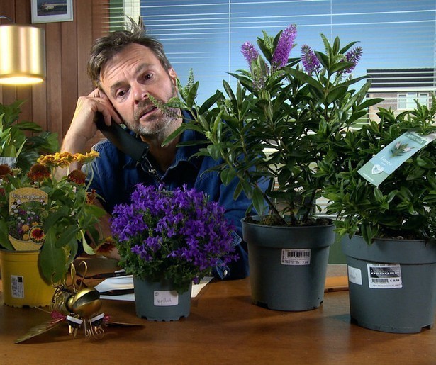 Teun van de Keuken duikt in de bloemetjes en de bijtjes