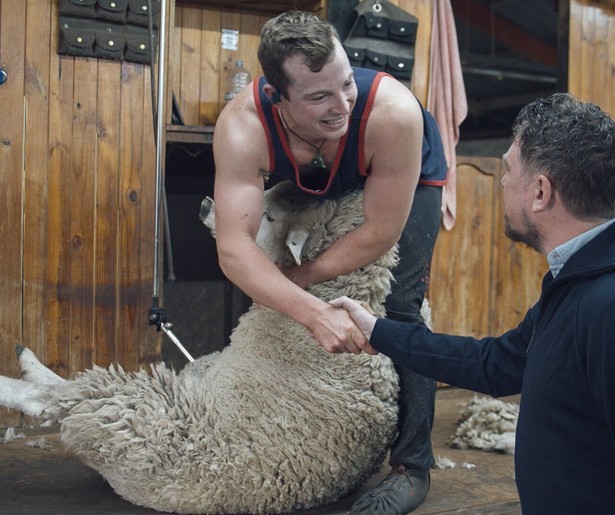 Keuringsdienst van Waarde willen meer weten over merinowol 