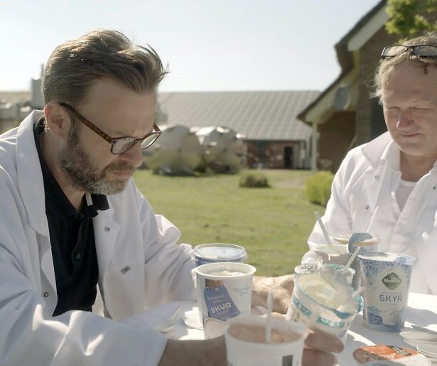 Keuringsdienst van waarde legt Skyr onder de loep