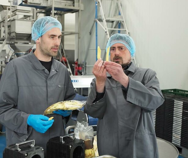 De experts van Keuringsdienst van Waarde mogen échte Vlaamse frieten proeven