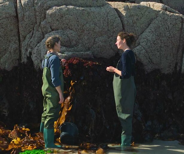 Charlotte Caspers bekijkt, ruikt en bevoelt zeewier in nieuwe aflevering Kijken met Caspers