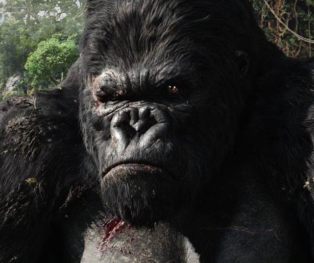 King Kong in een nieuw jasje