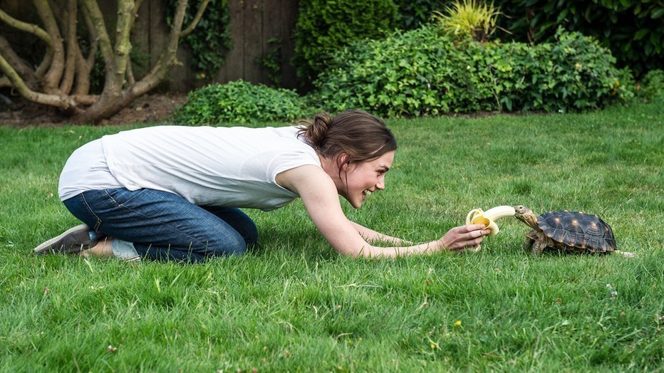  Laggies