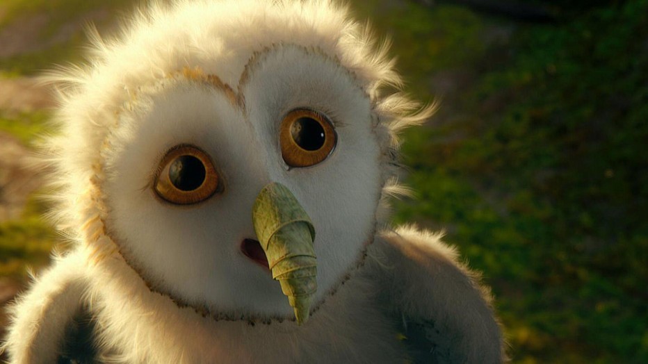 Still uit Legend of the Guardians: The Owls of Ga'Hoole