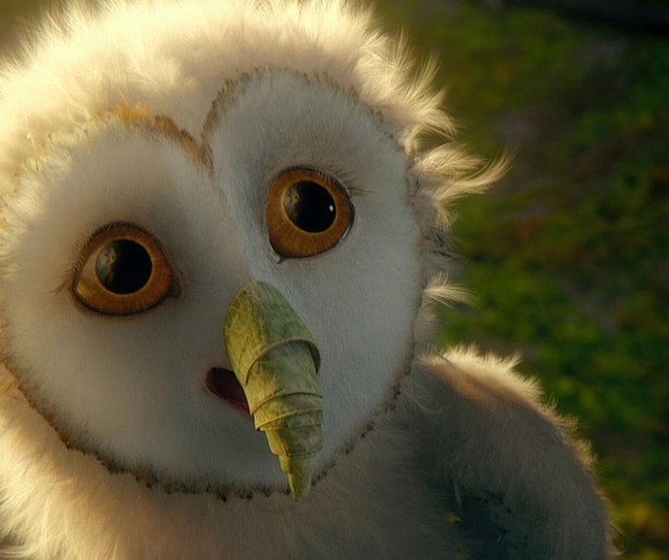 Volg de dappere uil Sören in Legend of the Guardians: The Owls of Ga'Hoole