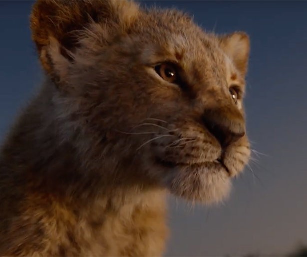 Beyoncé In Nieuwe The Lion King 2422