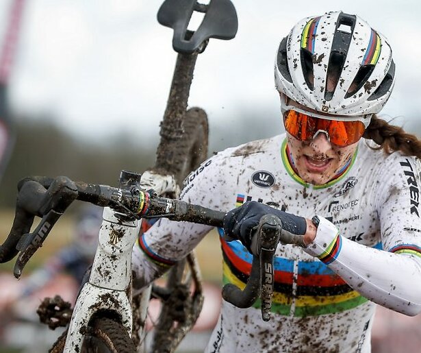 Wint Lucinda Brand in Fayetteville?