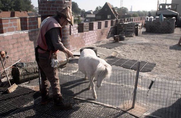 Videosnack: Man bijt hond XL op bezoek bij riddermuseum Vlotburg