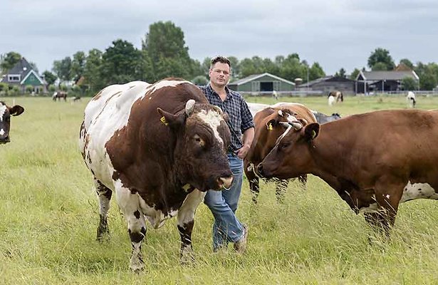 Videosnack: De 3 beste momenten van de logeerweek deel 4