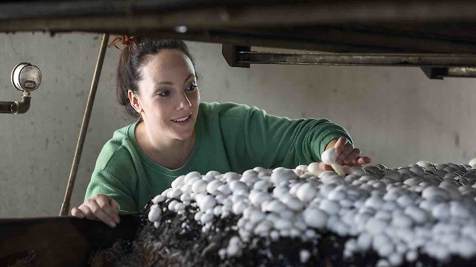 Michelle en Maarten (BzV) gaan samenwonen