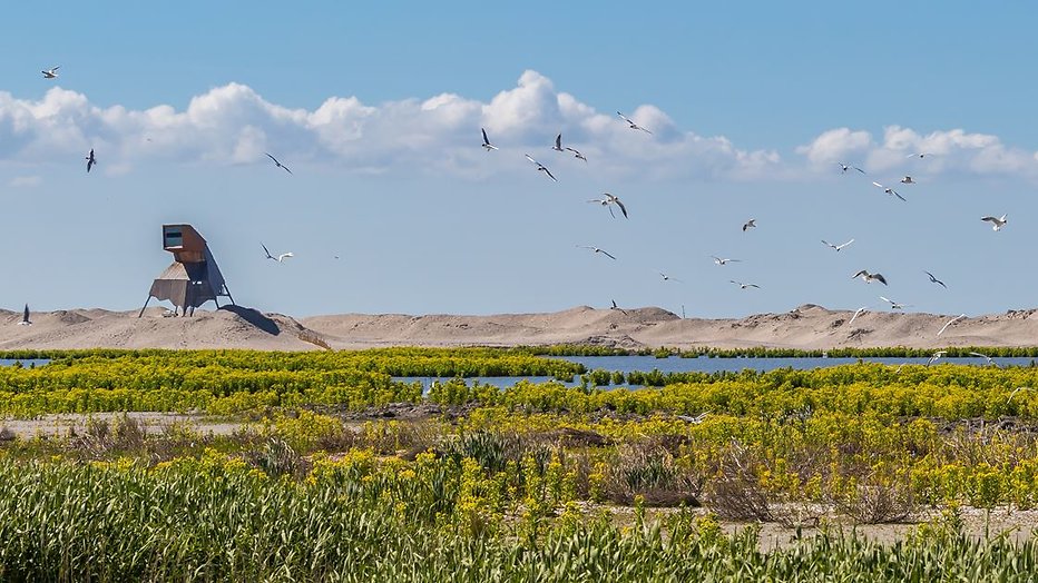 Meer natuur door kunstmatige eilandjes