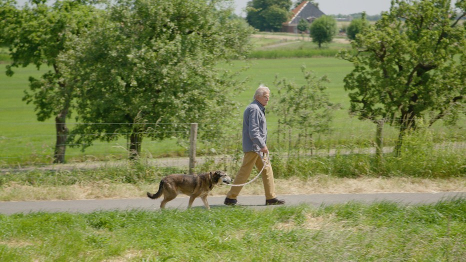 Met Bromet naar Hondencursus Met Bromet naar Hondencursus
