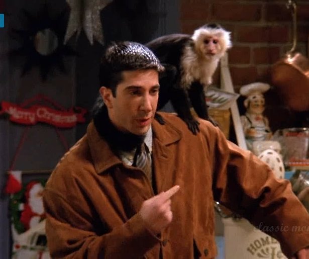 Aap Marcel uit Friends heeft weer tv-rol te pakken 