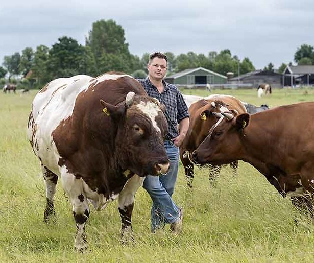 Videosnack: De 3 beste momenten van de logeerweek deel 4