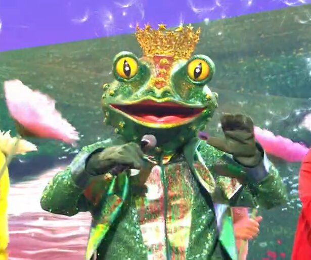 Wolter Kroes praat mond voorbij over Masked Singer deelname