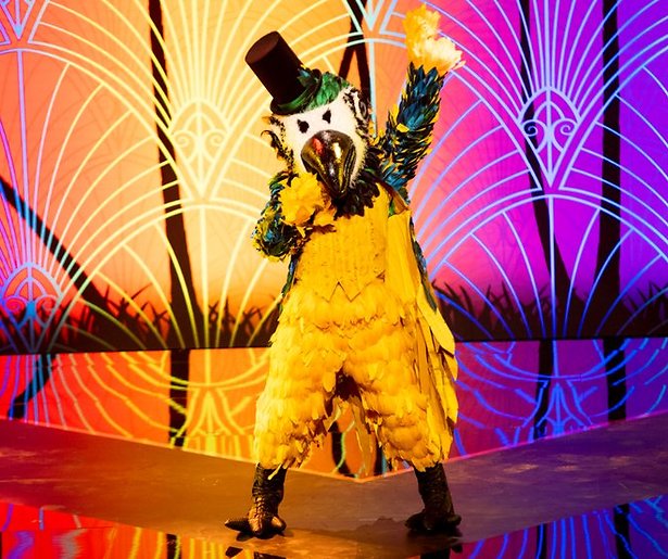 Vier kandidaten ontmaskerd in The Masked Singer